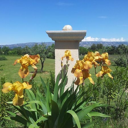 לינה וארוחת בוקר Alleins Lamanderie En Provence מראה חיצוני תמונה