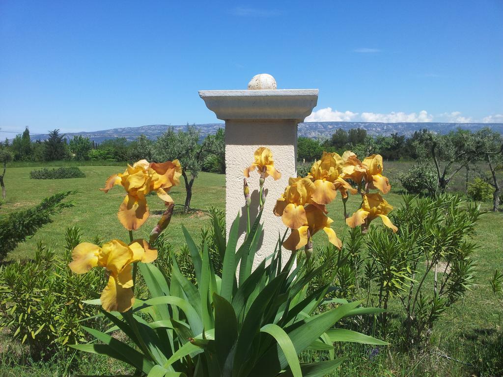לינה וארוחת בוקר Alleins Lamanderie En Provence מראה חיצוני תמונה